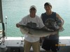 (06/22/2014) - Nice Striped Bass